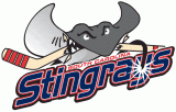 South Carolina Sting Rays 1999 00-2006 07 Primary Logo Sticker Heat Transfer