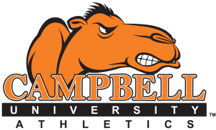 Campbell Fighting Camels 2005-2007 Wordmark Logo 04 decal sticker