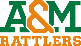 Florida A&M Rattlers 2013-Pres Wordmark Logo 11 Sticker Heat Transfer