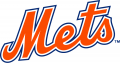 St. Lucie Mets 2013-Pres Wordmark Logo Sticker Heat Transfer