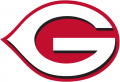 Greeneville Reds 2018-Pres Primary Logo decal sticker