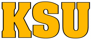 Kennesaw State Owls 2000-2011 Wordmark Logo 02 decal sticker