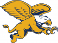 Canisius Golden Griffins 2006-Pres Secondary Logo 02 decal sticker
