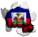 Fist Haiti Flag Logo decal sticker