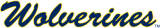 Michigan Wolverines 1996-Pres Wordmark Logo 02 decal sticker