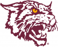 Bethune-Cookman Wildcats 2000-2015 Alternate Logo 01 decal sticker