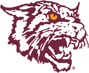 Bethune-Cookman Wildcats 2000-2015 Alternate Logo 01 decal sticker