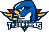 Springfield Thunderbird 2016 17-Pres Primary Logo decal sticker