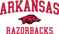 Arkansas Razorbacks 2009-2013 Alternate Logo Sticker Heat Transfer