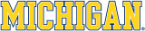 Michigan Wolverines 1996-Pres Wordmark Logo 13 Sticker Heat Transfer