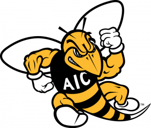 AIC Yellow Jackets 2009-Pres Primary Logo decal sticker