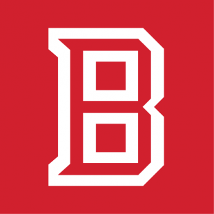 Bradley Braves 2012-Pres Alt on Dark Logo Sticker Heat Transfer