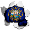 Fist New Hampshire State Flag Logo Sticker Heat Transfer