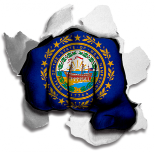 Fist New Hampshire State Flag Logo decal sticker