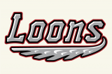 Great Lakes Loons 2016-Pres Jersey Logo decal sticker