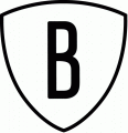 Brooklyn Nets 2012 13-2013 14 Alternate Logo 1 Sticker Heat Transfer