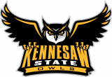 Kennesaw State Owls 2012-Pres Primary Logo decal sticker