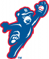 South Bend Cubs 2015-Pres Alternate Logo decal sticker