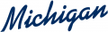 Michigan Wolverines 1996-Pres Wordmark Logo 05 decal sticker