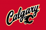 Calgary Flames 2013 14-2015 16 Jersey Logo decal sticker