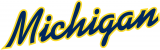 Michigan Wolverines 1996-Pres Wordmark Logo 10 decal sticker