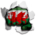 Fist Wales Flag Logo decal sticker