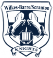 Wilkes-BarreScranton Knights 2015 16-Pres Primary Logo decal sticker
