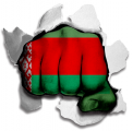 Fist Belarus Flag Logo decal sticker