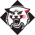 Davidson Wildcats 2010-Pres Alternate Logo decal sticker