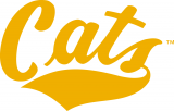 Montana State Bobcats 1982-2012 Wordmark Logo decal sticker