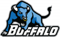 Buffalo Bulls 2007-2015 Secondary Logo decal sticker