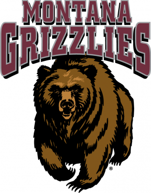 Montana Grizzlies 1996-Pres Primary Logo Sticker Heat Transfer