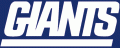 New York Giants 1976-1999 Alternate Logo Sticker Heat Transfer