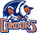 Bakersfield Condors 2015-2018 Primary Logo decal sticker