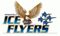 Pensacola Ice Flyers 2009 10-2011 12 Primary Logo Sticker Heat Transfer