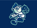 Asheville Tourists 2011-Pres Cap Logo 2 decal sticker