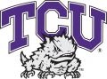TCU Horned Frogs 1995-Pres Primary Logo Sticker Heat Transfer