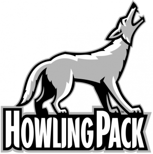 South Dakota Coyotes 2004-Pres Charity Logo decal sticker