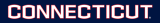 UConn Huskies 2013-Pres Wordmark Logo 07 decal sticker