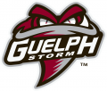 Guelph Storm 2018 19-Pres Primary Logo Sticker Heat Transfer