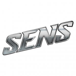 Ottawa Senators Silver Logo decal sticker