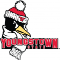 Youngstown State Penguins 2006-Pres Secondary Logo decal sticker