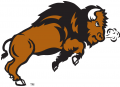 North Dakota State Bison 2005-2011 Secondary Logo 02 Sticker Heat Transfer