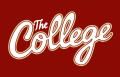 College of Charleston Cougars 2013-Pres Wordmark Logo 06 decal sticker