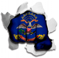 Fist North Dakota State Flag Logo decal sticker