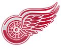 Detroit Red Wings Plastic Effect Logo Sticker Heat Transfer