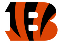Cincinnati Bengals 2021-Pres Primary Logo decal sticker