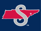 Tennessee Smokies 2010-2014 Cap Logo decal sticker