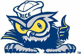Rice Owls 2003-2009 Mascot Logo Sticker Heat Transfer