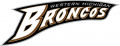 Western Michigan Broncos 1998-2015 Wordmark Logo Sticker Heat Transfer